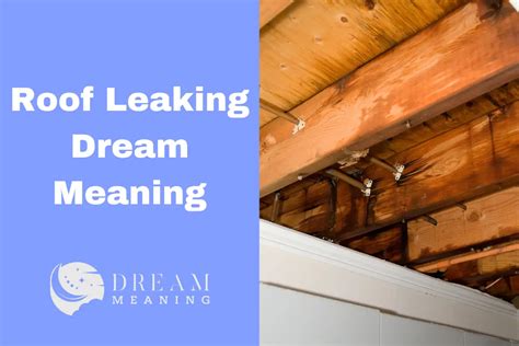 roof leaking dream|Interpreting Meaning of Roof Repair Dreams: A。